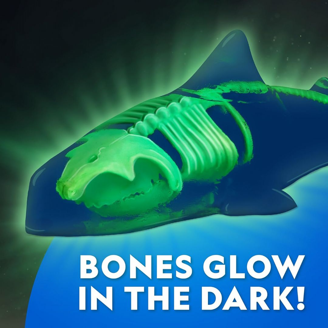 National Geographic - Glow-In-The-Dark Dissection Lab - Shark