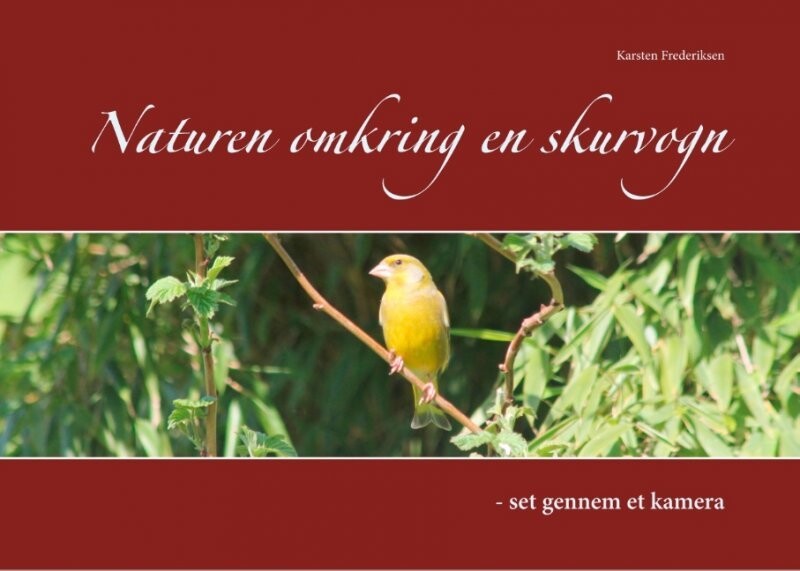 Naturen Omkring En Skurvogn