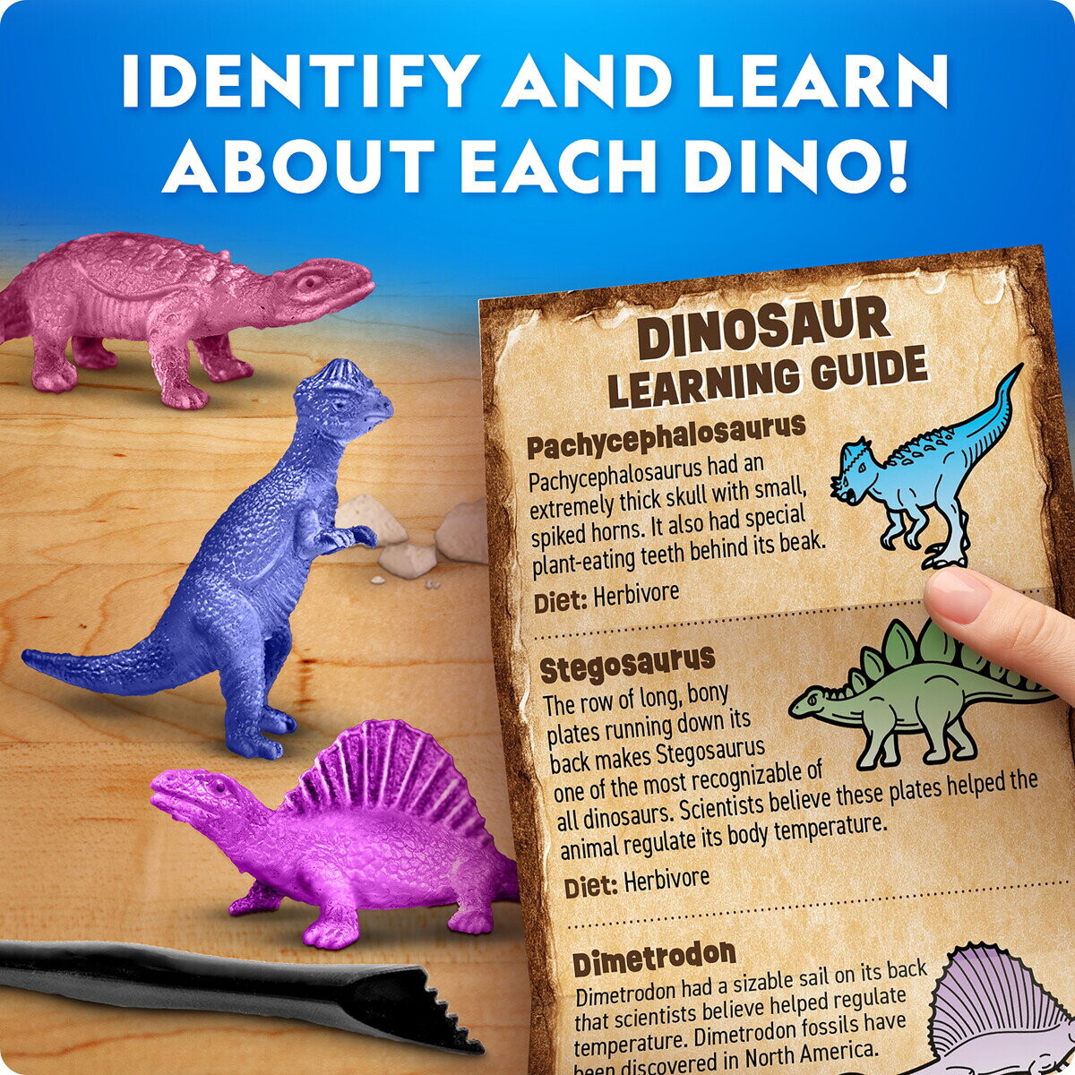 National Geographic - Dinosaur Excavation Kit - Assorteret