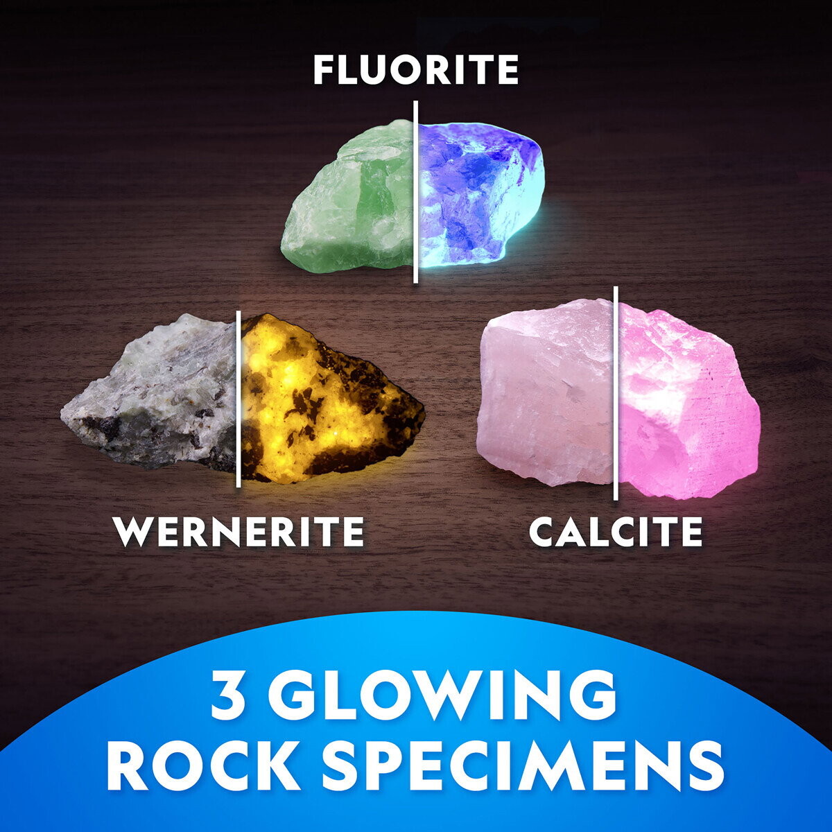 N Geographic Glow In The Dark Gravekit