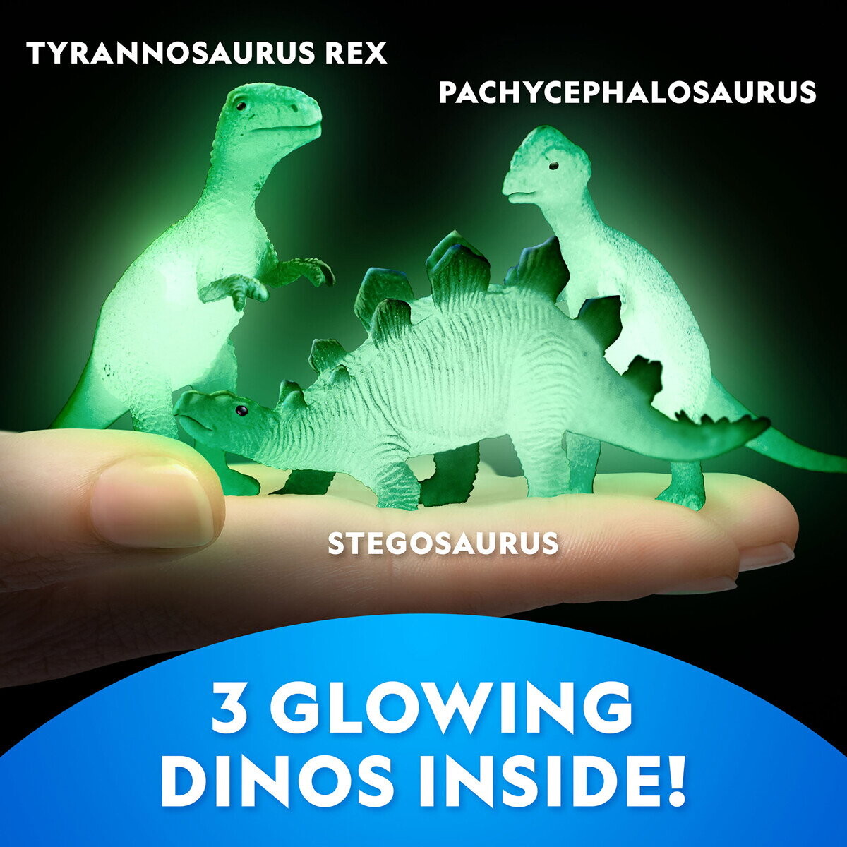 N Geographic Glow In The Dark Gravekit