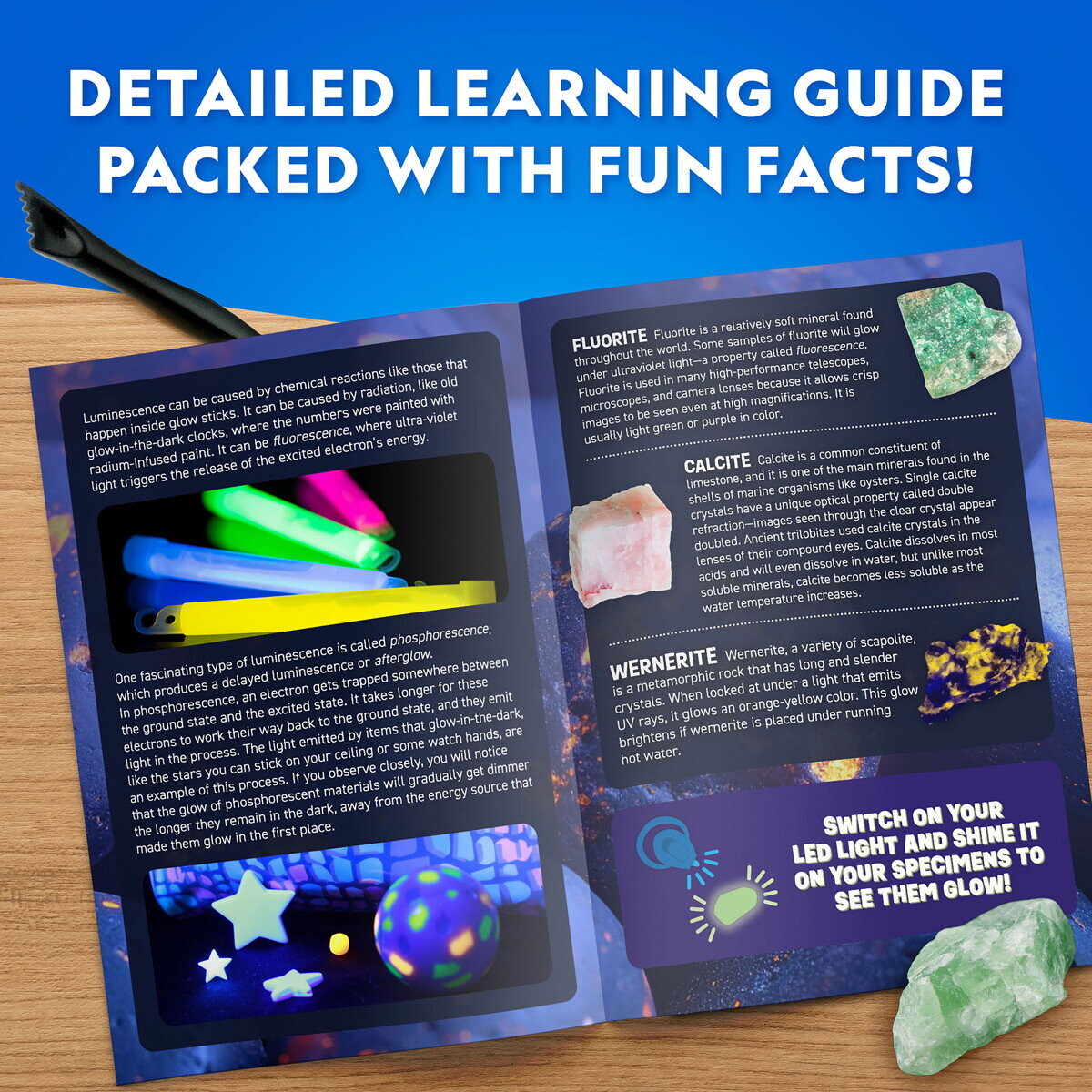 N Geographic Glow In The Dark Gravekit