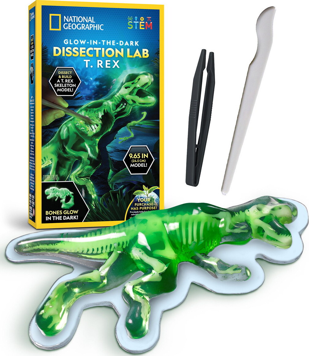 National Geographic - T Rex Glow-In-The-Dark Dissection Lab