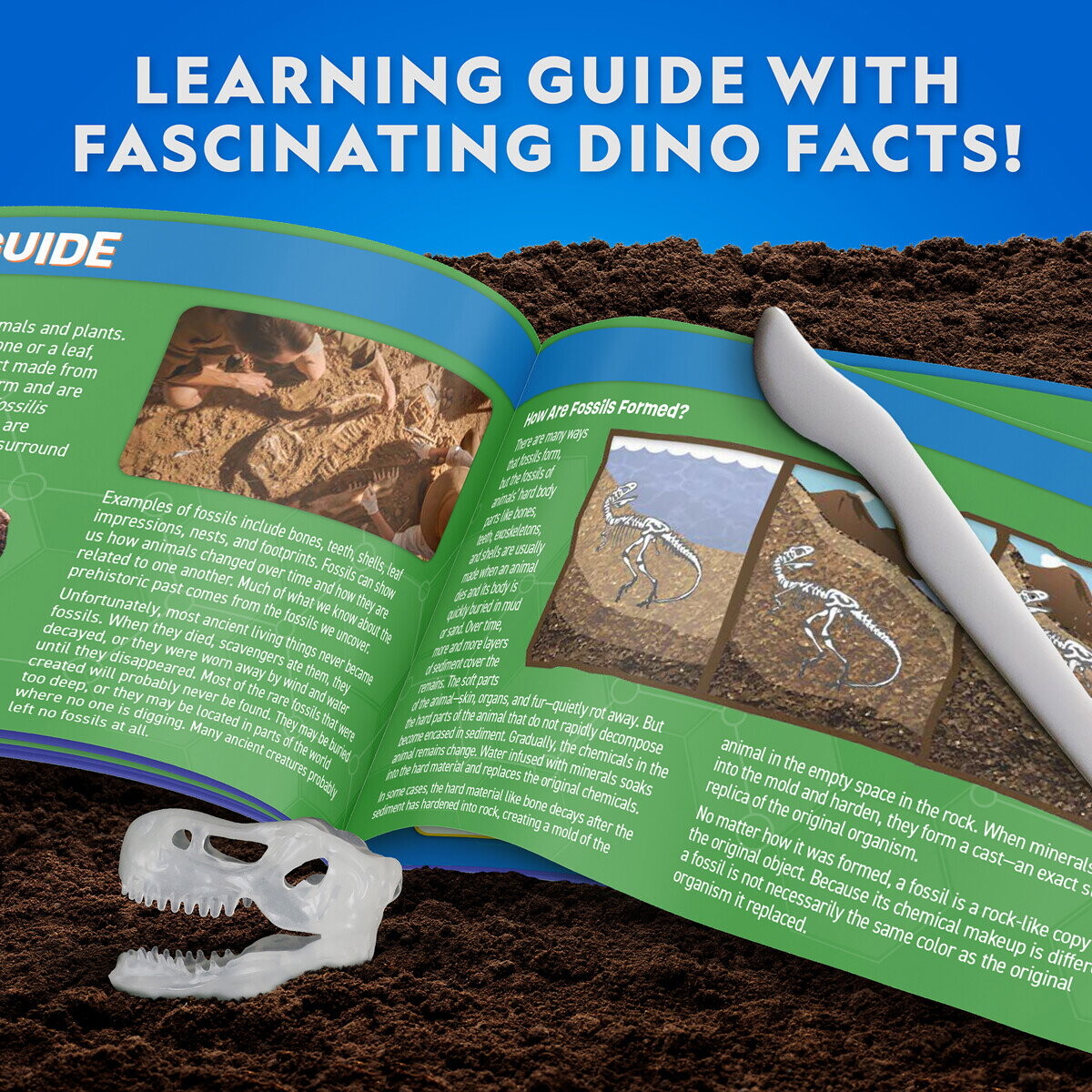 National Geographic - T Rex Glow-In-The-Dark Dissection Lab