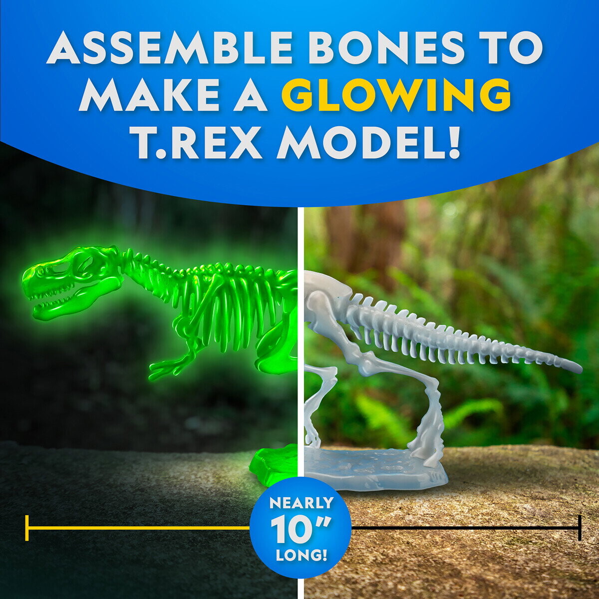 National Geographic - T Rex Glow-In-The-Dark Dissection Lab
