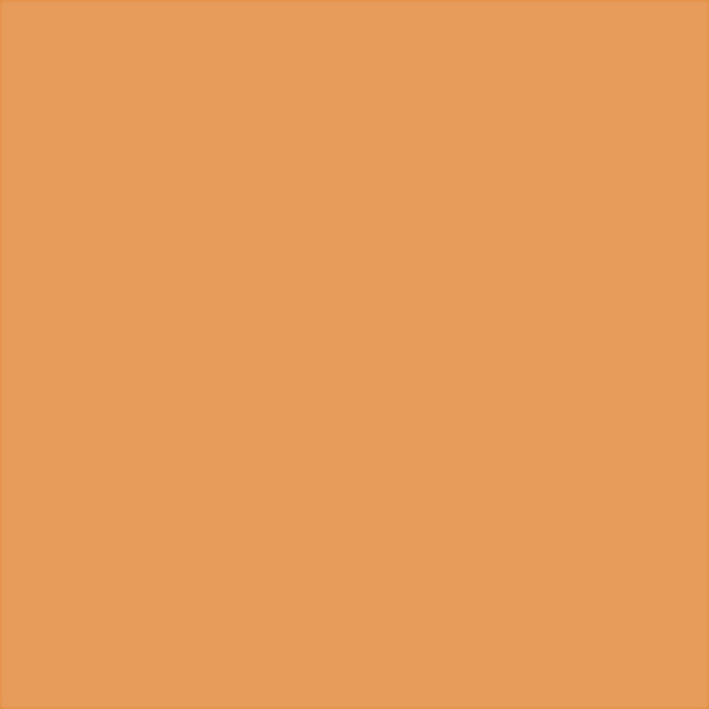 Caran Dache - Neocolor Ii - Akvarel Farvekridt - Orange - 10 Stk