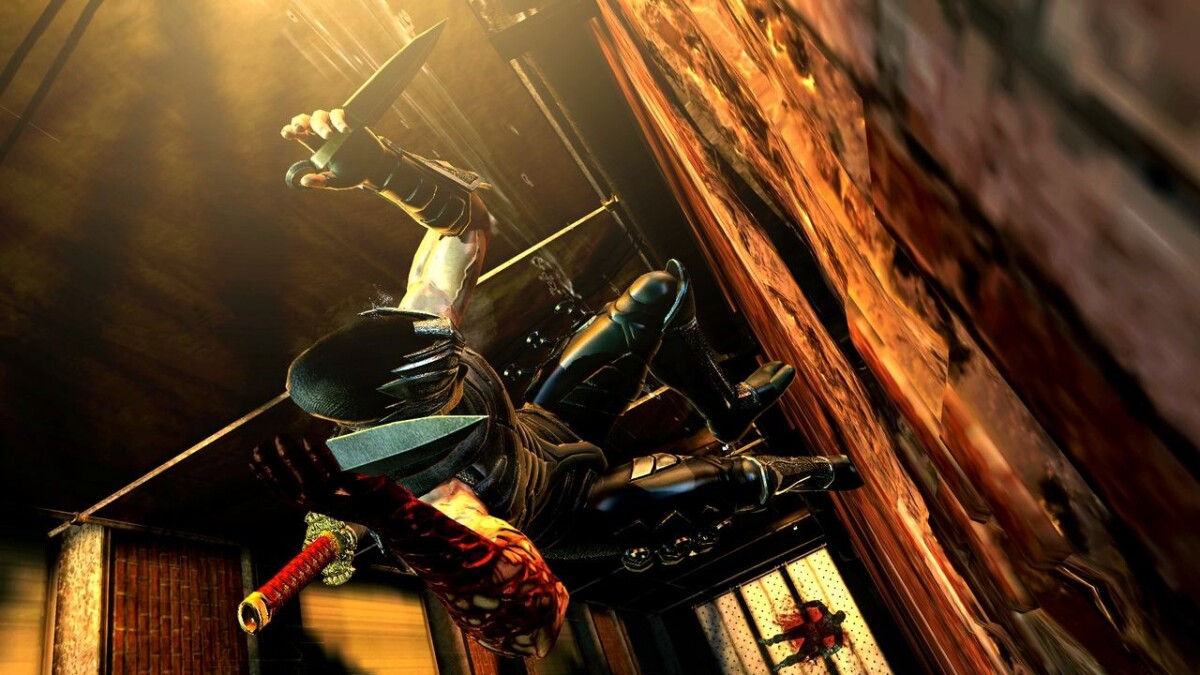 Ninja Gaiden 3 Import