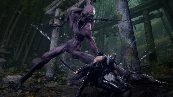 Ninja Gaiden 4 Deluxe Edition