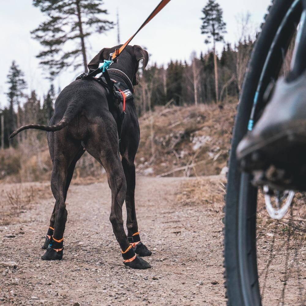 Non-Stop- Sikkerhedssko - Xs - 4Stk - Ultimativ Beskyttelse Af Din Hunds