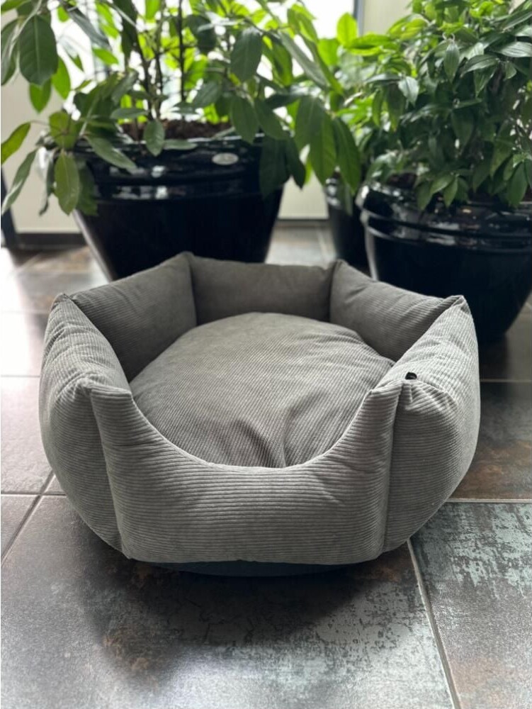 Nordic Paws - Comfyhex Hundeseng - Koksgrå - 75X75X27 Cm