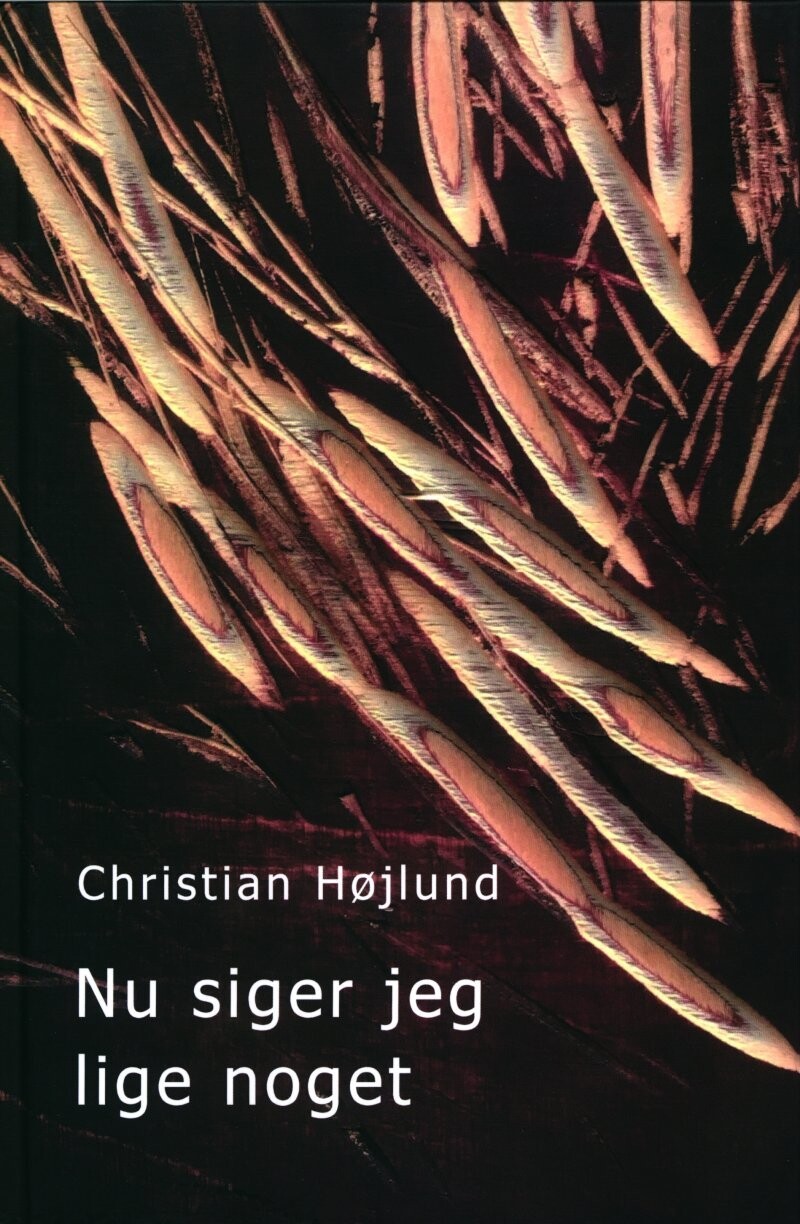 Nu Siger Jeg Lige Noget