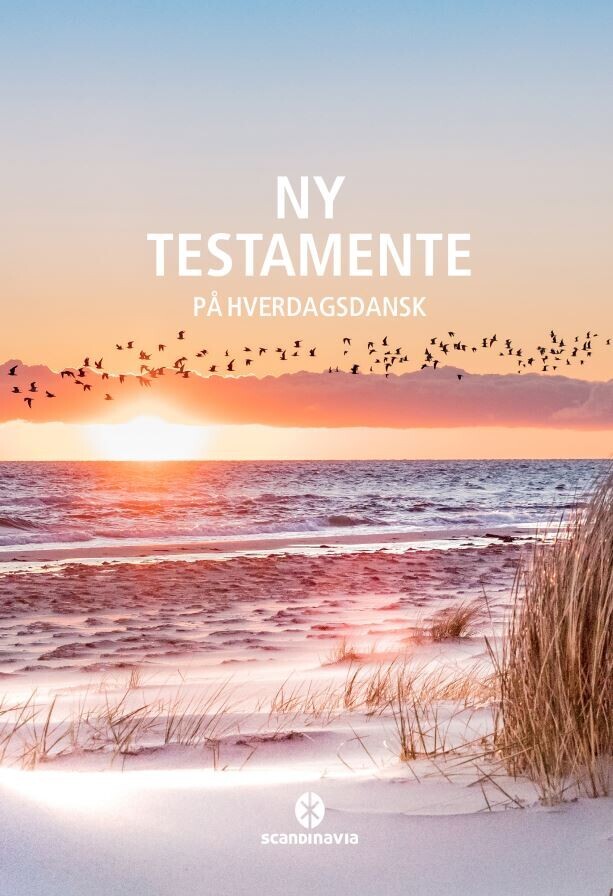 Ny Testamente - På Hverdagsdansk Strand