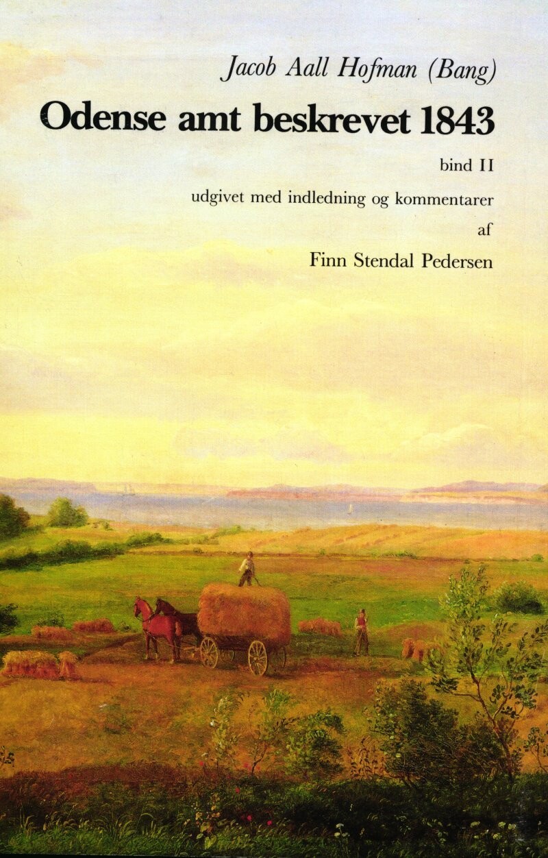 Odense Amt Beskrevet 1843 Bd2