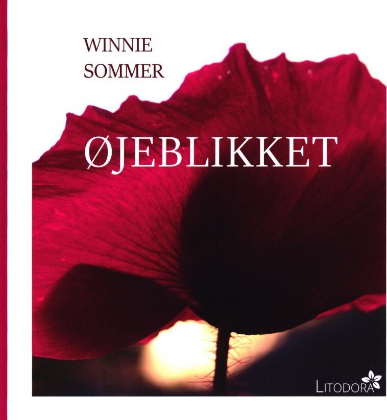 Øjeblikket