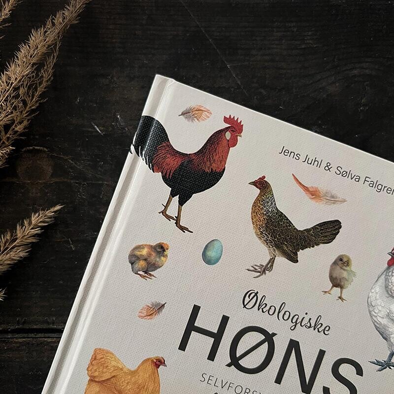 Økologiske Høns