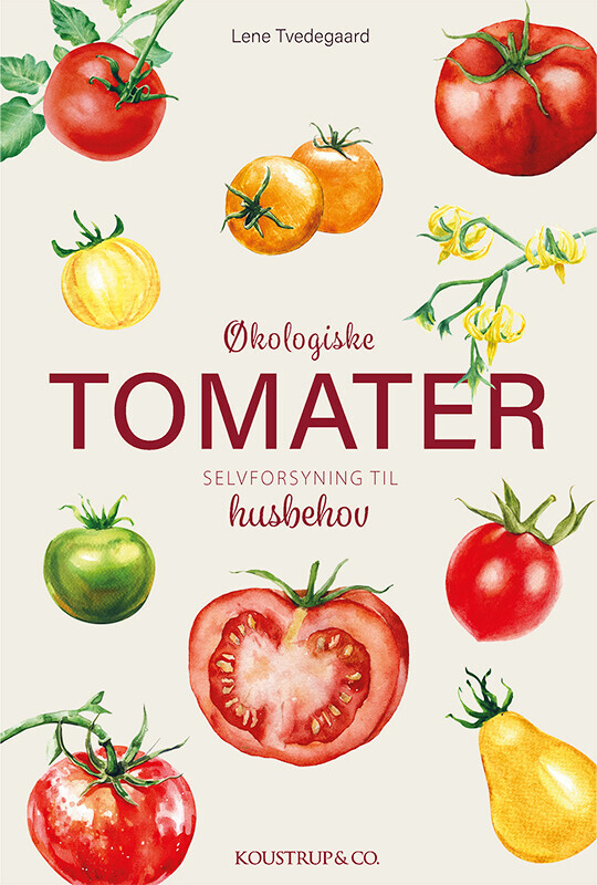Økologiske Tomater