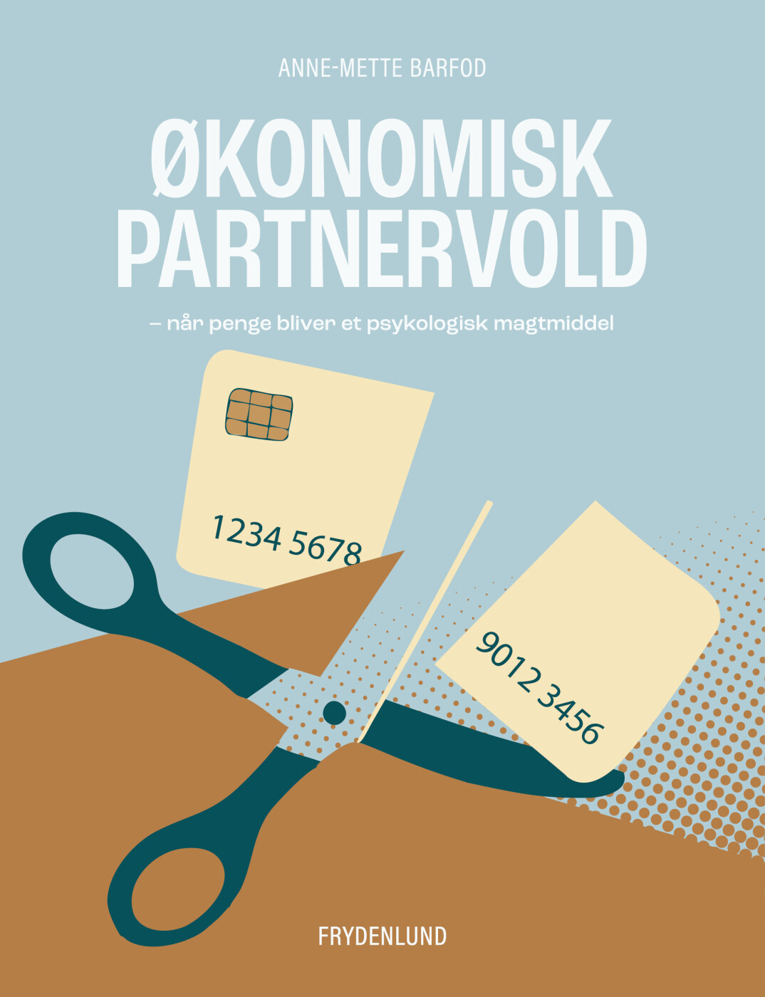 Økonomisk Partnervold