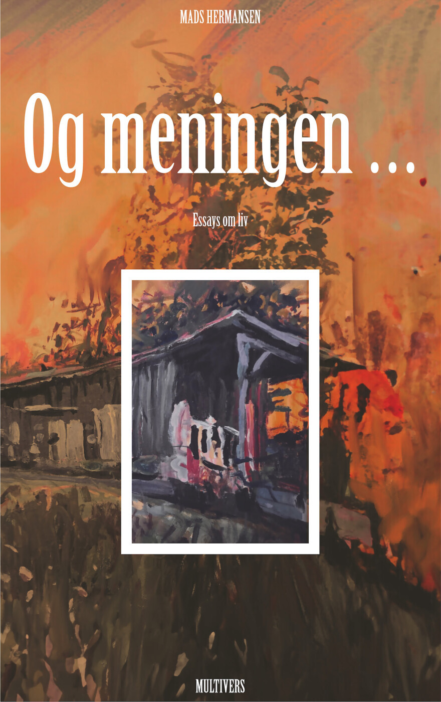 Og Meningen - Essays Om Liv