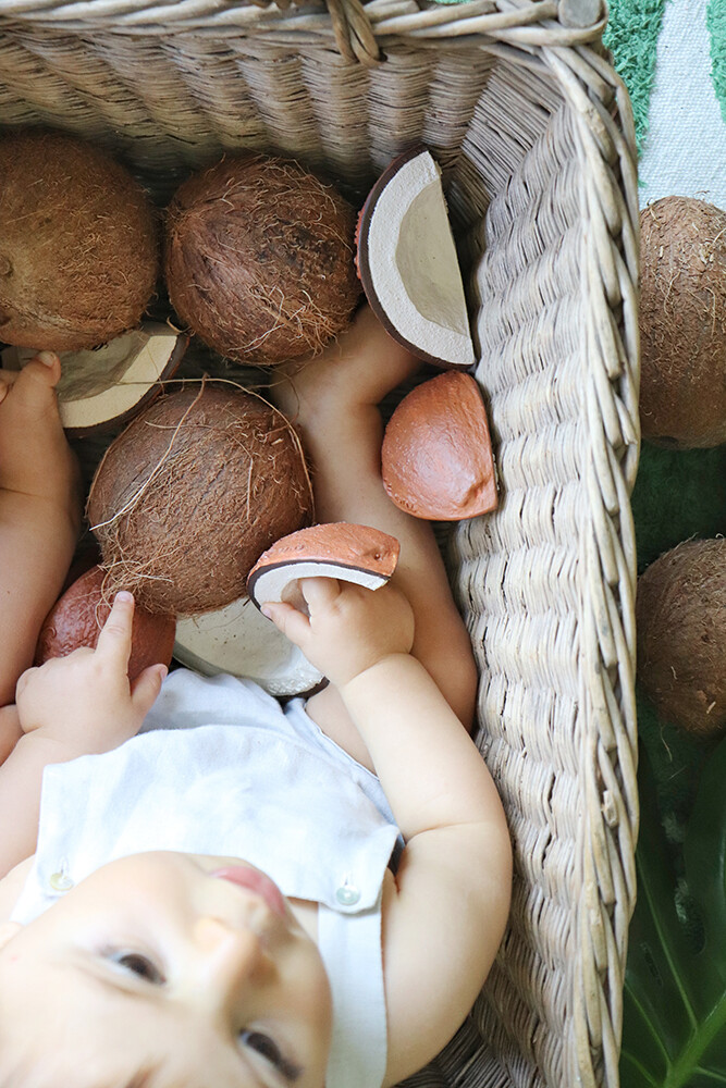 Oli Carol - Bidering - Coco The Coconut