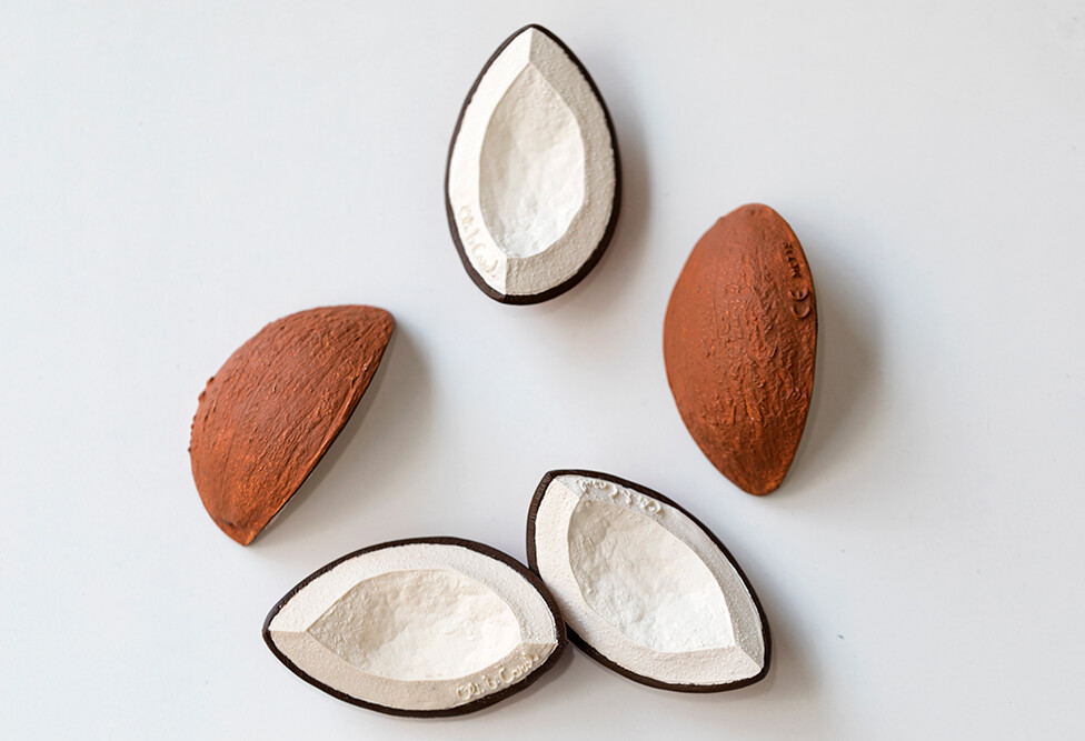 Oli Carol - Bidering - Coco The Coconut