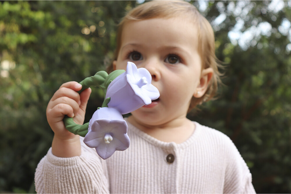 Oli Carol Bidering - Cindy The Bellflower