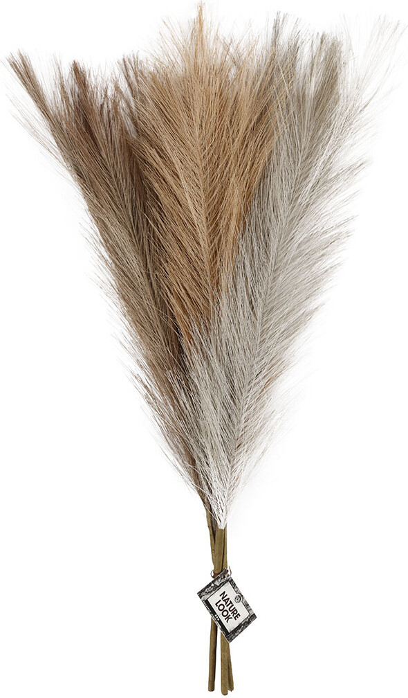 Pampasgræs - L 50 Cm - Lys Pudder - Lys Brun - Lys Grå - 3 Stk 1 Bundt