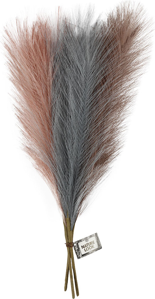 Pampasgræs - L 50 Cm - Sart Blå - Frosted Lilla - Gammel Rosa - 3 Stk 1