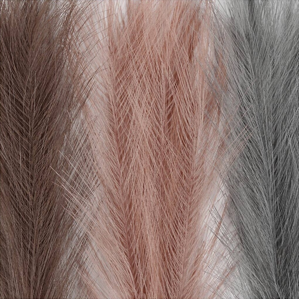 Pampasgræs - L 50 Cm - Sart Blå - Frosted Lilla - Gammel Rosa - 3 Stk 1