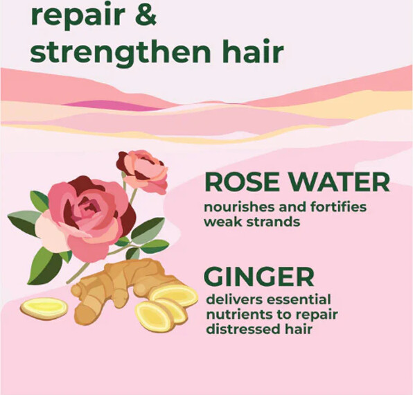 Petal Fresh - Pure Ginger Rosewater Conditioner 475 Ml