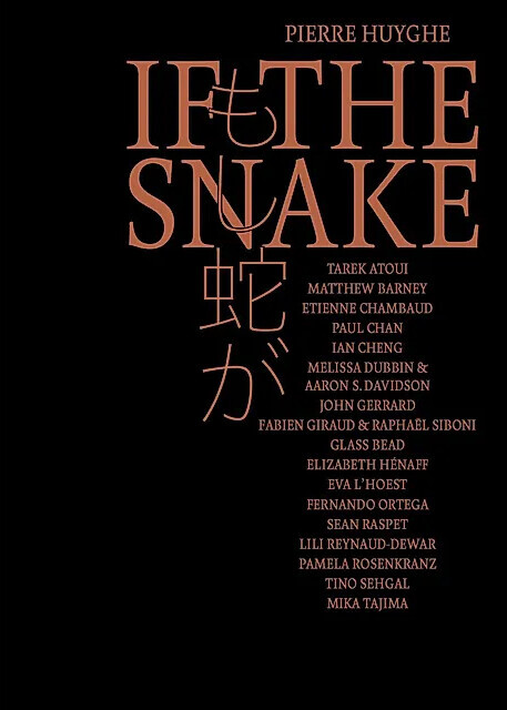 Pierre Huyghe - If The Snake