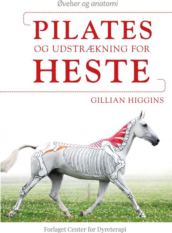 Pilates Og Udstrækning For Heste