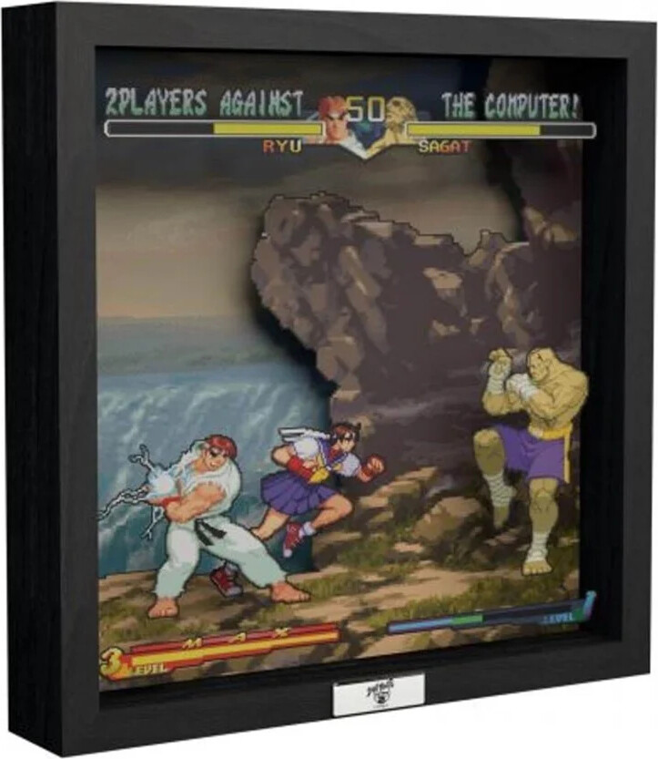 Pixel Frame - Street Fighter Alpha 2