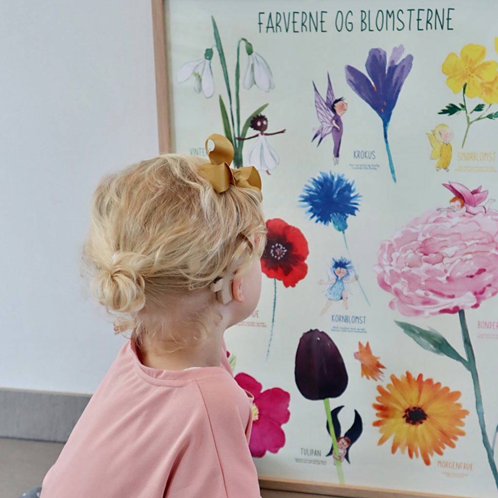 Plakat - Farverne Og Blomsterne - Str 50X70 Cm - Dk - 1 Stk