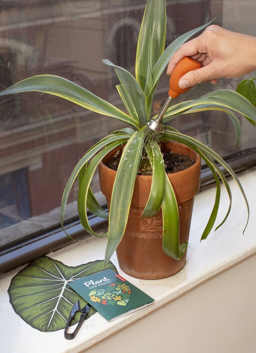 Kikkerland - Plant Care Kit