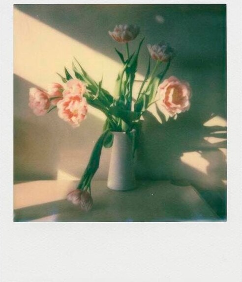 Polaroid - Farve I-Type Film 16-Pak