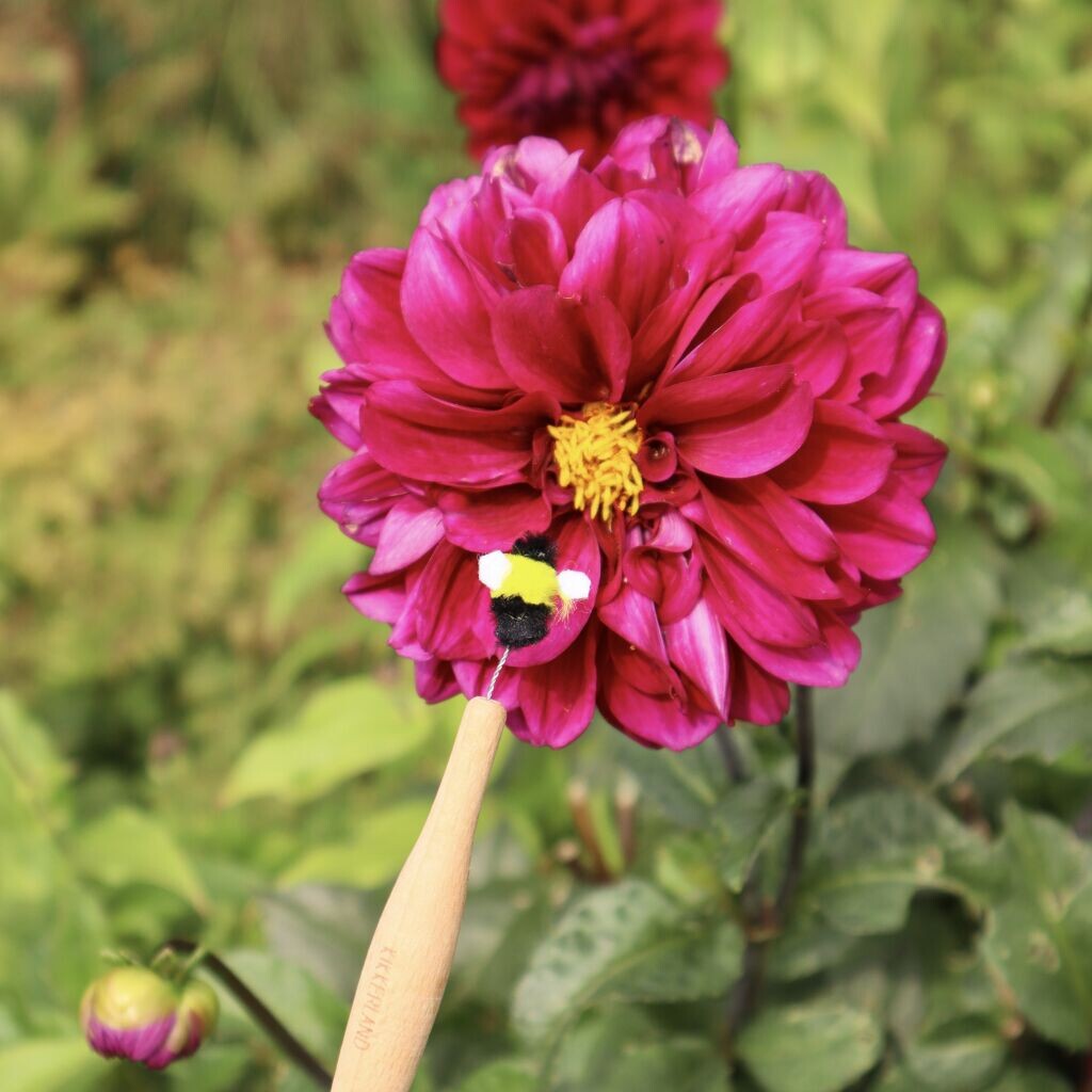 Kikkerland - Pollineringsstav