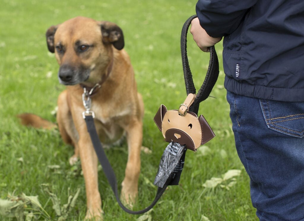 Kikkerland - Taske Til Hundeposer - Kobe