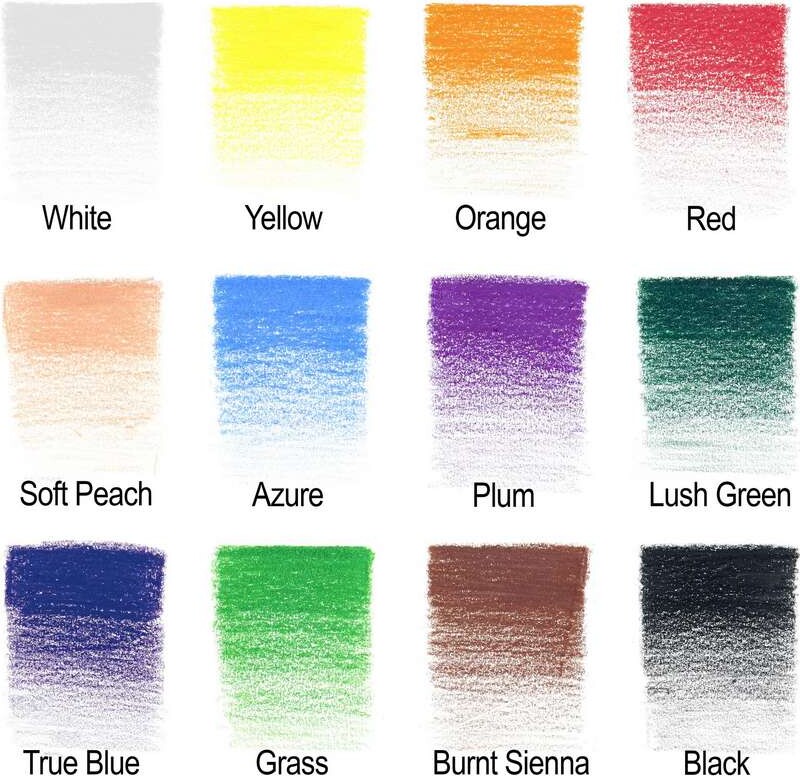 Winsor Newton - Farveblyanter - Studio Collection - 12 Farver