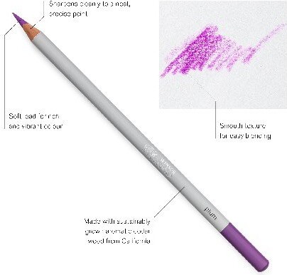 Winsor Newton - Farveblyanter - Studio Collection - 48 Farver