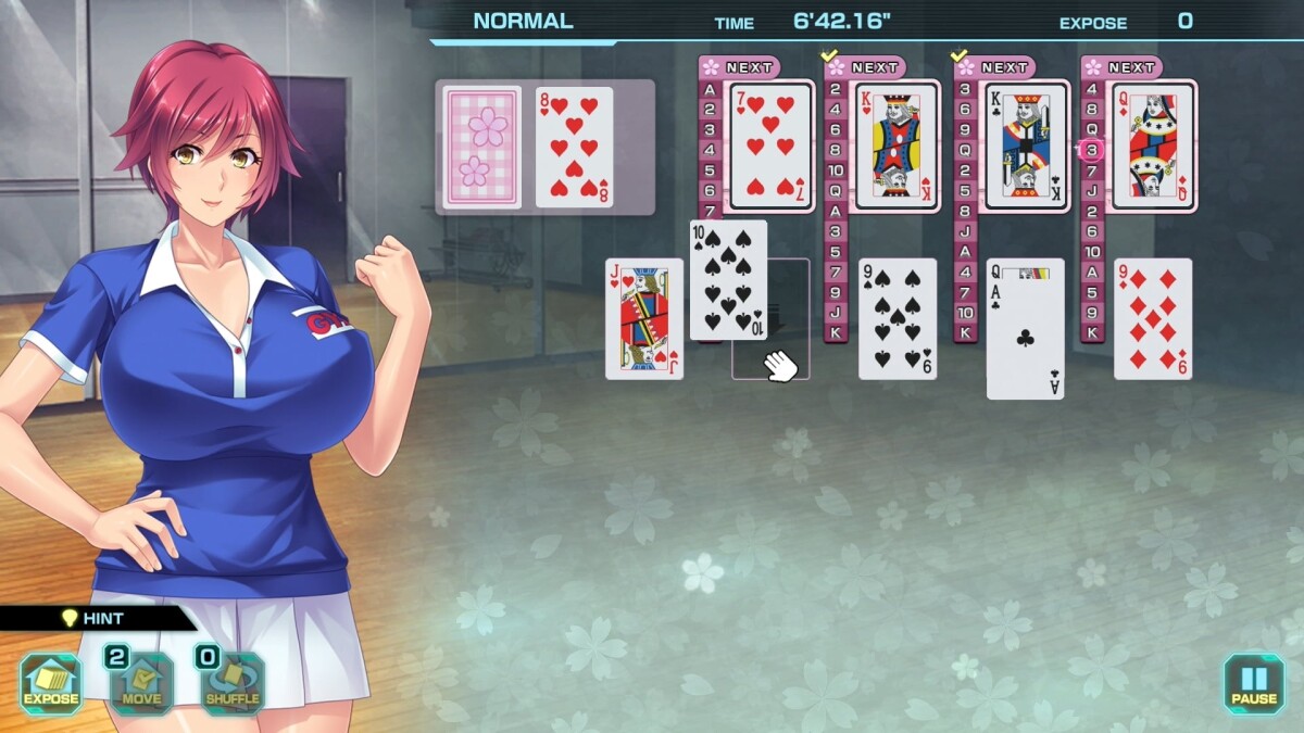 Pretty Girls Game Collection V