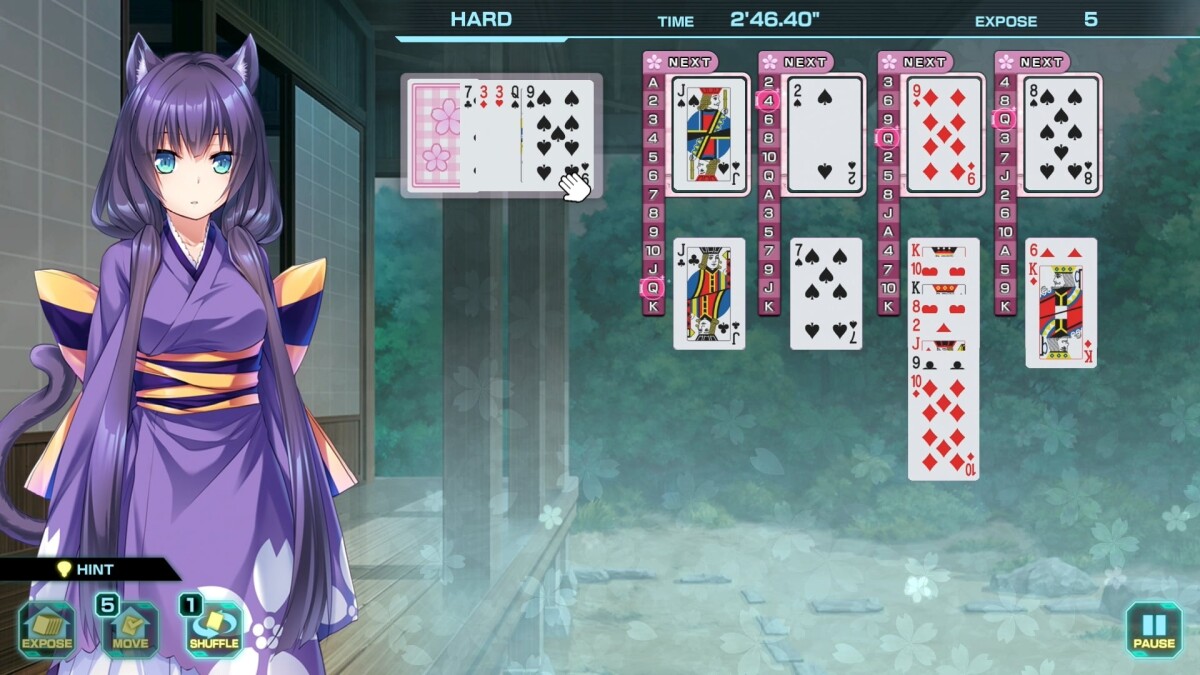 Pretty Girls Game Collection V