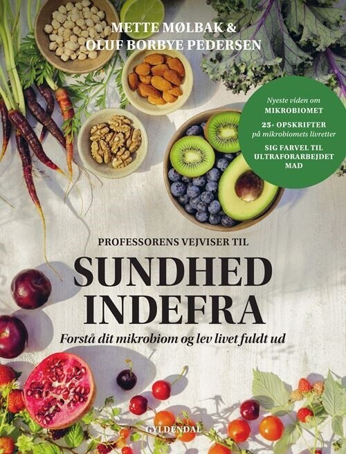 Professorens Vejvisning Til Sundhed Indefra