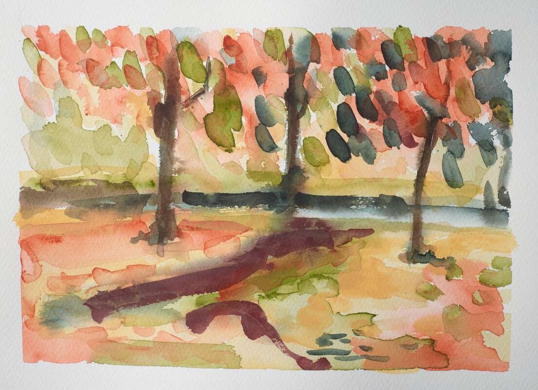 Winsor Newton - Professional Watercolour - Rich Earth - 6X5 Ml