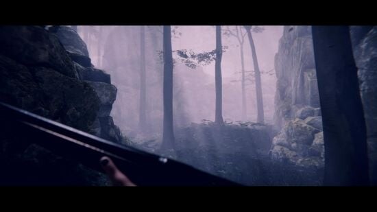 Project Songbird