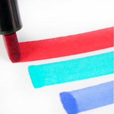 Winsor Newton - Promarker Tusser - Rige Toner - 6 Farver