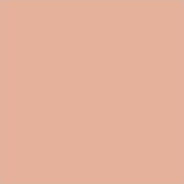 Winsor Newton - Promarker Tusch - Tan