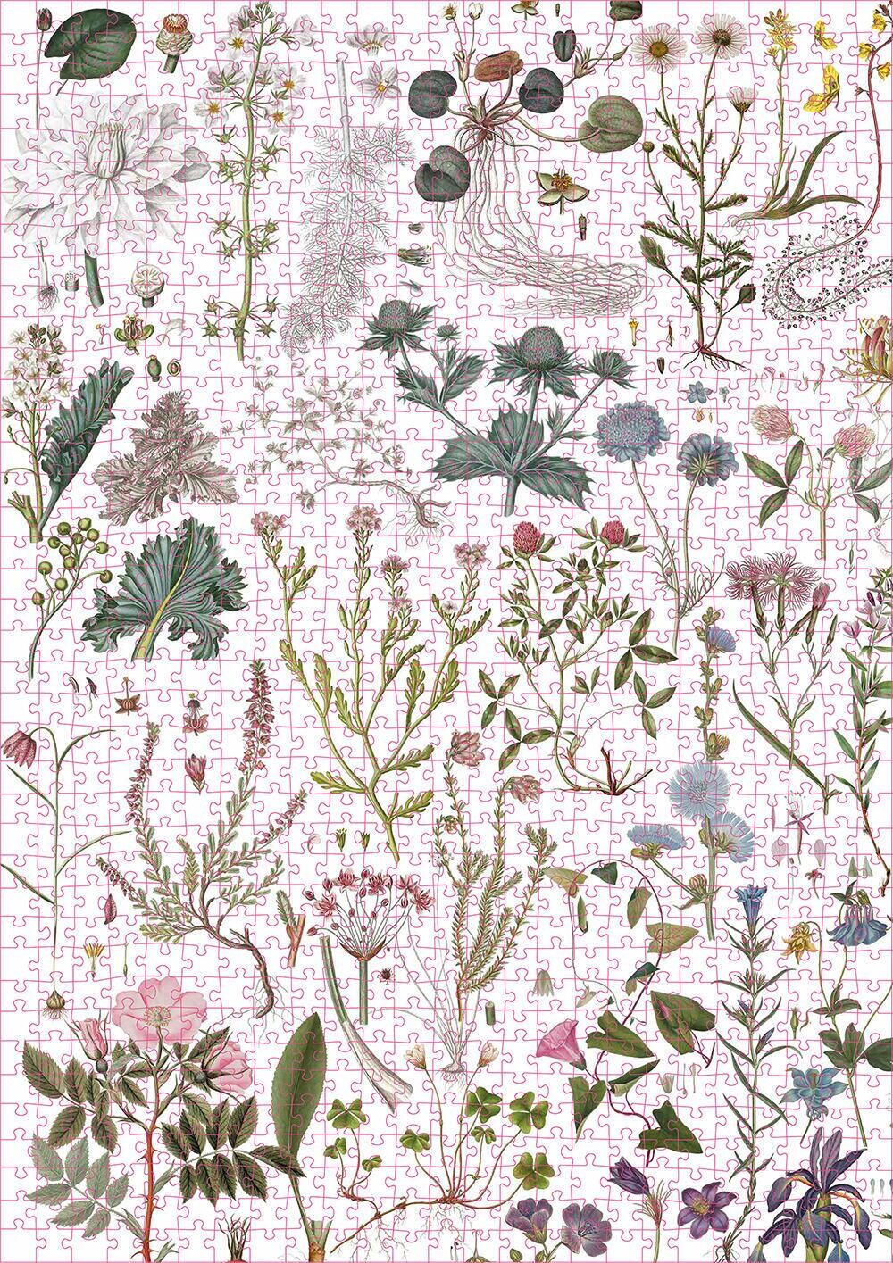 Flora Danica Puslespil - 1000 Brikker - Koustrup Co
