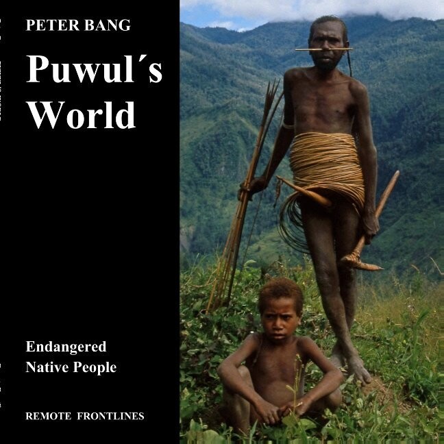 Puwul S World