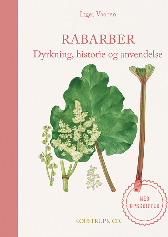 Rabarber