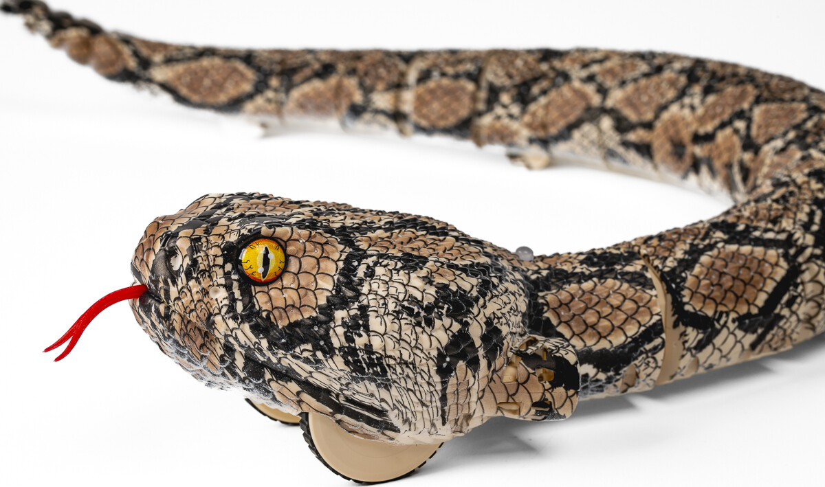 Rattler Rc Wlight Simulated Sound 2 4Ghz 65Cm - Animal Universe